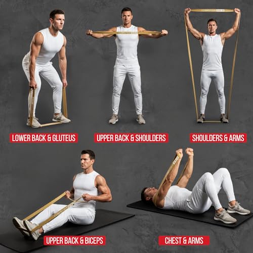 COBRASIX 6-Piece Resistance Band Set with Handles & Door Anchor for Full-Body Workout