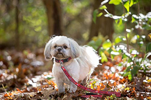 NCAA Dog Leash - Large Arizona Wildcats, Durable Nylon Pet Leash