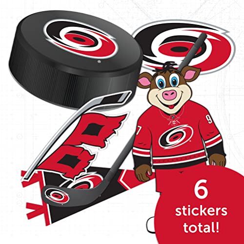 Desert Cactus Carolina Hurricanes Team NHL National Hockey League Sticker Vinyl Decal Laptop Water Bottle Car Scrapbook (Type 2)