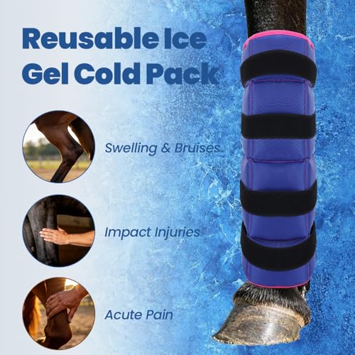 AccompMe Blue Reusable Ice Horse Leg Boot for Injury Recovery, Adjustable Gel Wrap for Legs, Hocks & Hooves