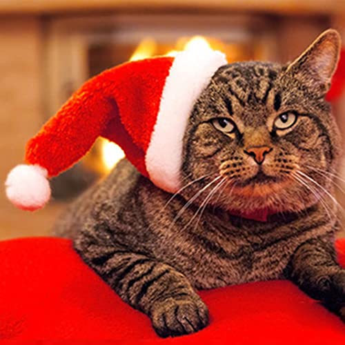 Pet Halloween Costume Hat for Cats & Dogs - Red
