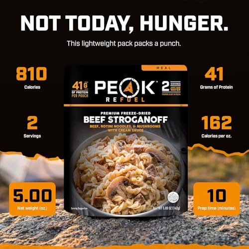 Beef Stroganoff Freeze-Dried Backpacking Meal - High Protein, Just Add Water