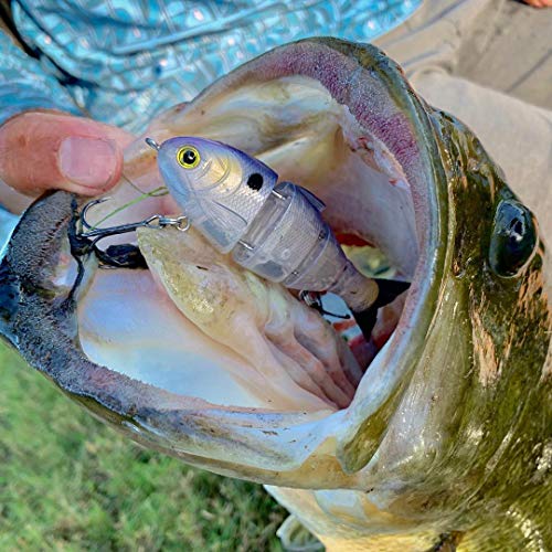Catch Co Mike Bucca Baby Bull Shad Swimbait 3.75" 1/2 oz Bluegill - Fish Lure