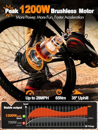 M200 Electric Mountain Bike - 21-Speed, 1200W Motor, Black - 48V 10.4Ah