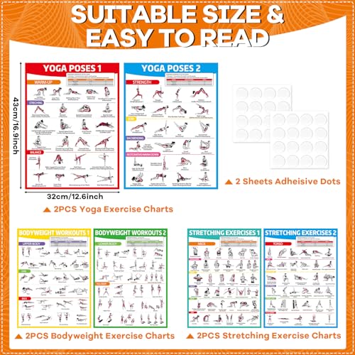 6-Piece Workout Poster Set - Yoga, Stretching & Bodyweight Exercises