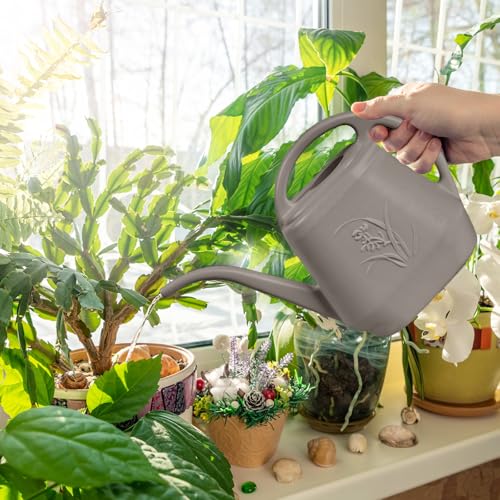 ZXJ 1/2 Gallon Plant Watering Can with Long Spout – Indoor & Outdoor Garden