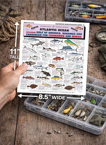 Waterproof Saltwater Fish Identification Chart - 50+ Species