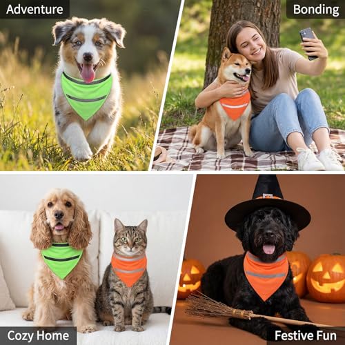 High Visibility Reflective Dog Vest - 2 Pack, Fits Neck 16-20.5 Inches