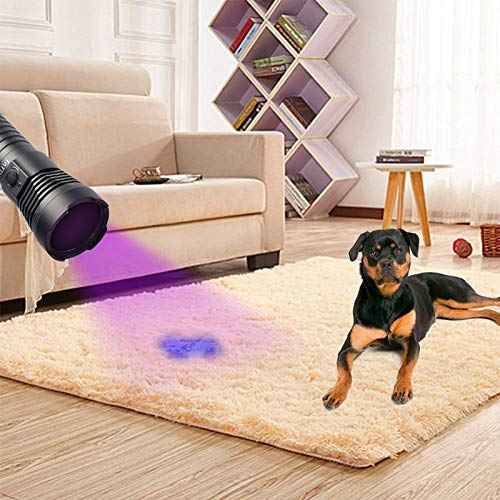 TATTU U3S UV Flashlight Rechargeable 365nm Black Light Torch with ZWB2 Filter, Blacklight 10W Ultraviolet LED Lamp with Micro USB Charging Cable