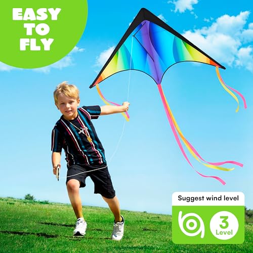 Large Delta Kite - Gradient Rainbow Easy Flyer for Kids & Adults
