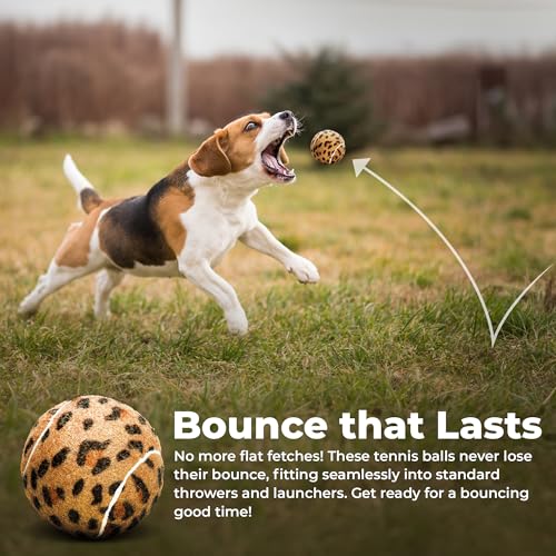 Dog Fetch Squeaker Balls - Animal Prints 4 Pack
