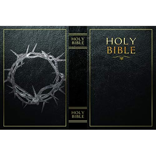 Fake Book Box - Small Safe Box with Combination Lock - Hidden Safe in Plain Sight - Diversion Safes - Secret Safes (Bible) (Large)