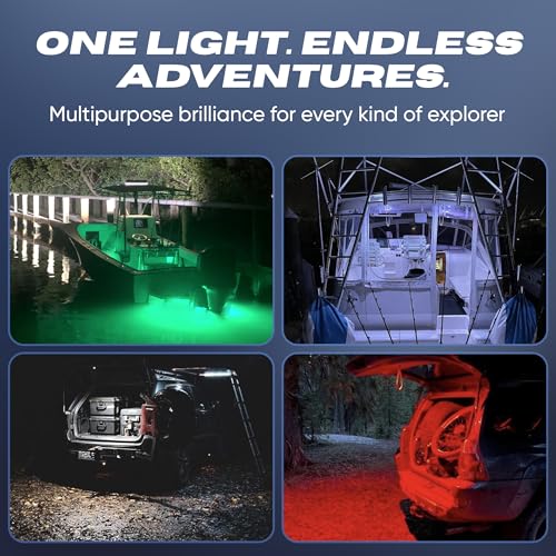 Black Oak Marine LED Boat Light (Blue) Deck & Courtesy Accent