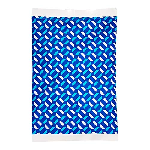 Amazon Basics Reusable Ice Pack for Lunch Boxes, Keep Cold,