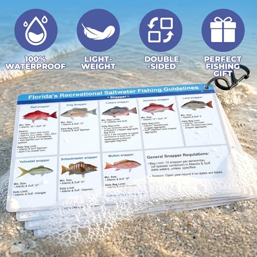 Florida Saltwater Fishing Guide Cards - Waterproof Quick Reference Set