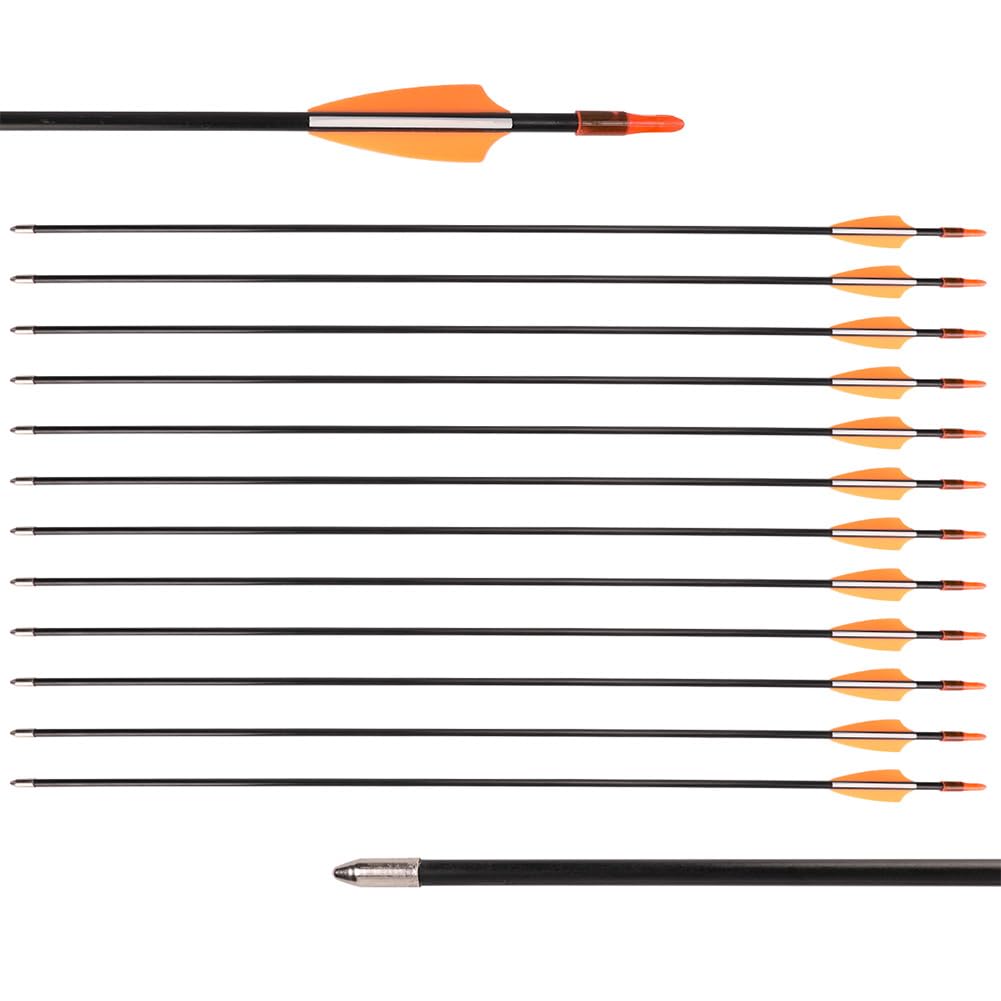 28" Fiberglass Arrows, Archery Practice Target Arrows for Youth Beginners