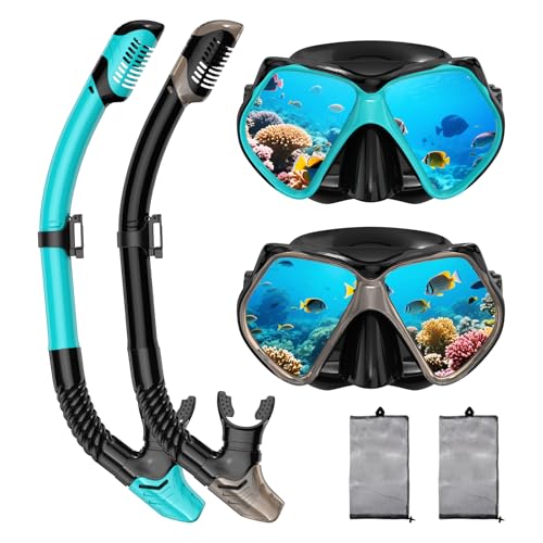 Jwintee Adult Snorkeling Set Gray+Green Dry Snorkel Mask Fins Travel Gear