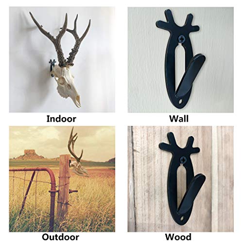 European Skull Mount Hanger for Deer and Antelope - 1 Pack