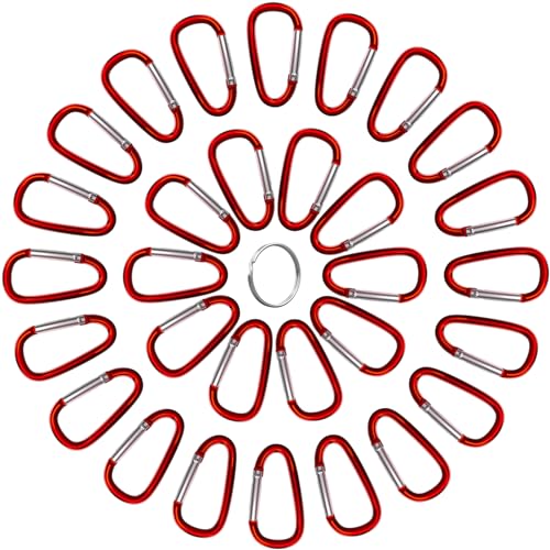 XIECHANEE 30Pcs 2" D-Shape Aluminum Carabiner Clips with Keyrings, Red