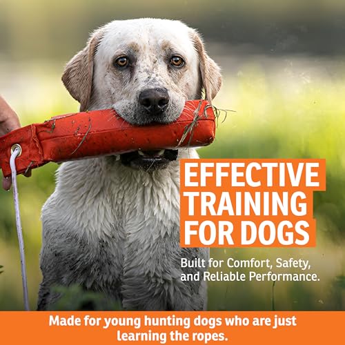 Canvas Dummy for Puppies - Orange, 2.25 x 8.5 Inches