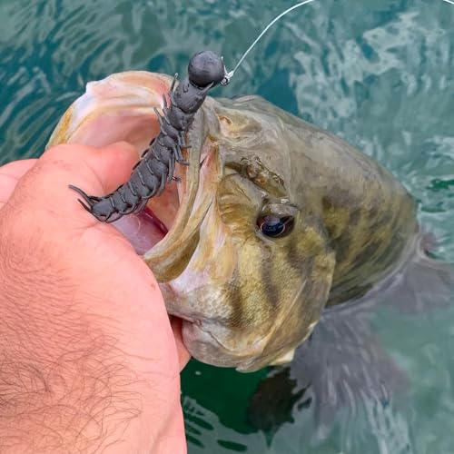 Juicy Hellgrammite Fishing Bait - Matte Black - 2.4"