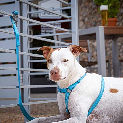Stainless Steel Dog Leash Carabiner Clip - SlideLock Pet S-Biner