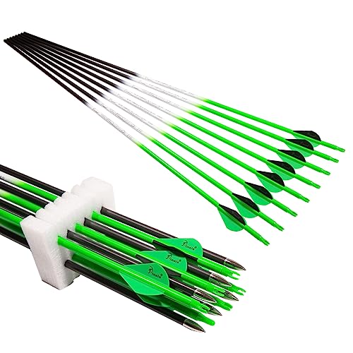 QunYing Green Carbon Arrows for Compound Recurve Bow 30 Inch Spine300 (Pack of 12)