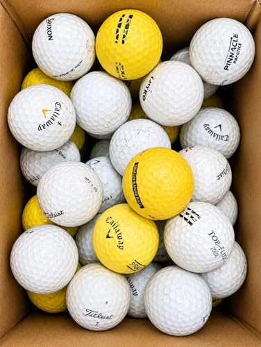 50 Used Recycled Golf Balls Bulk Box - Practice, Range & Shag Balls for Men & Women