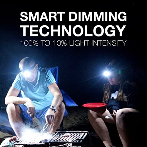 LED Headlamp - 260 Lumens, IPX4 Water Resistant, Forest Green
