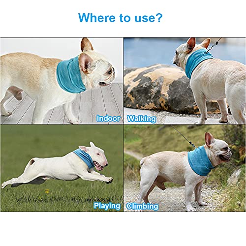 Dog Cooling Bandana Collar - Instant Cooling Scarf for Medium Dogs, Blue