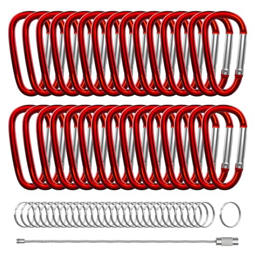 XIECHANEE 30Pcs 2" D-Shape Aluminum Carabiner Clips with Keyrings, Red