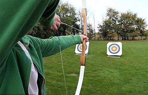 100 Grain Archery Field Points - 12 Pack Screw-In Practice Arrow Tips