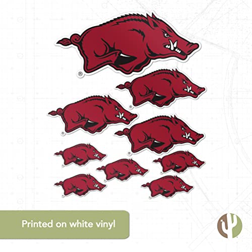 Arkansas Razorbacks T3-1 Desert Cactus Vinyl Sticker Decal College Fan Gear