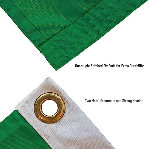 Philadelphia Eagles Vintage 3x5 Banner Flag with Grommets