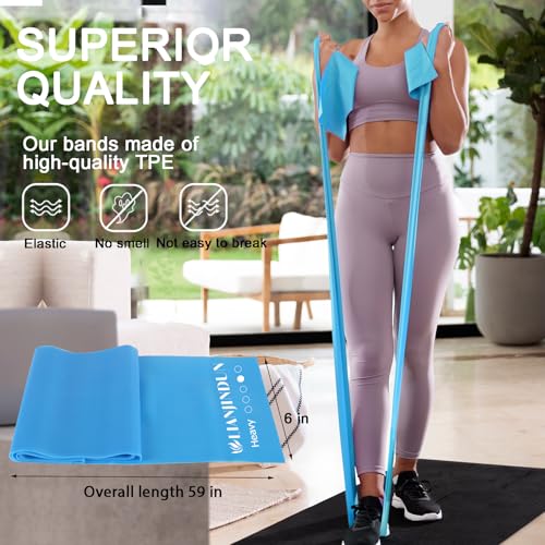 Lianjindun Gradient Blue Resistance Bands Set for Workout & Therapy, 5 Levels