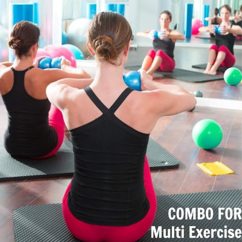 Weighted Toning Balls for Exercise - 2lbs Pair - Blue