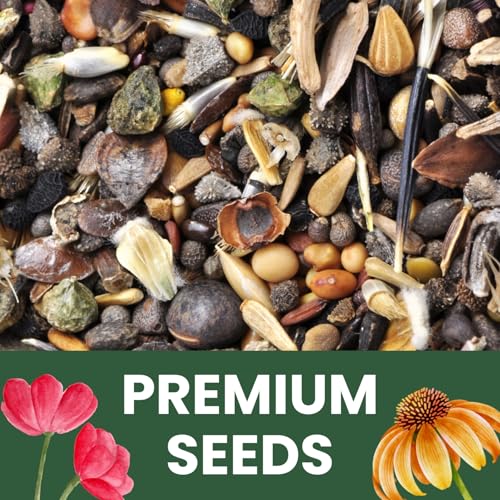Zinnia California Giants Seeds - 2,500mg Envelope with 250 Seeds