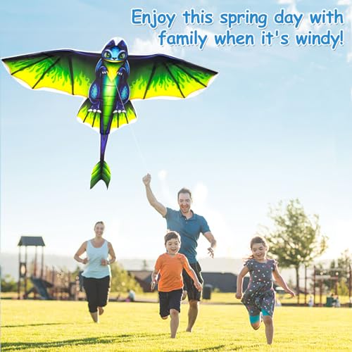 Multi Color Dragon Kite for Kids & Adults - Easy Fly Rainbow & Eagle Kites