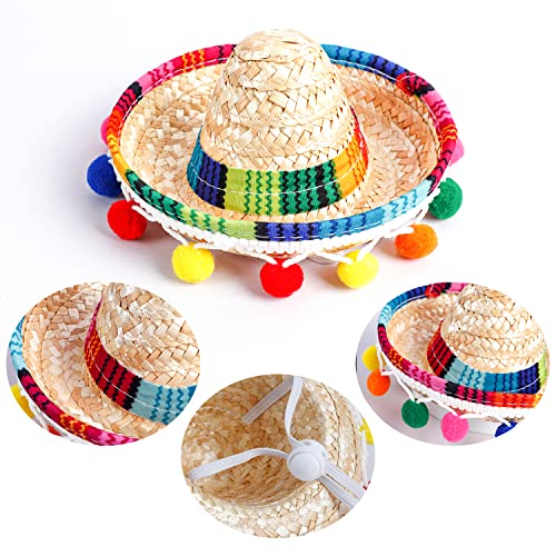 Mini Sombrero Hat Headband for Pets - Candy Color Dog & Cat Accessory