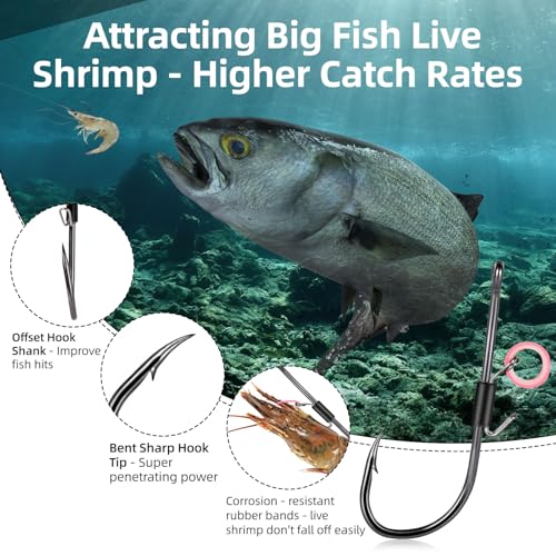 Live Shrimp Baitholder Hooks - High Carbon Steel Barbed Hooks - 2/0, 20pcs