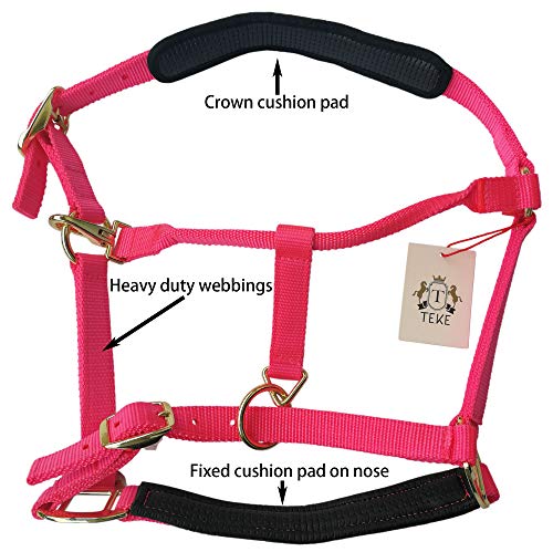 Adjustable Horse Halter - Heavy Duty Nylon with Padded Neoprene - Black, Full (L)