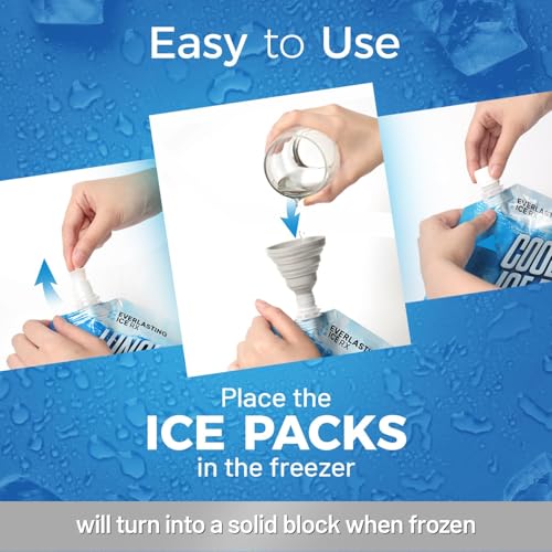 Everlasting Ice RX Reusable Packs for Cooler (4 Pack) Up to 48 Hours