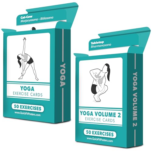 Palace Learning 2-Pack Yoga Pose Cards Set with 100+ Poses – 2.5 x 3.5 in