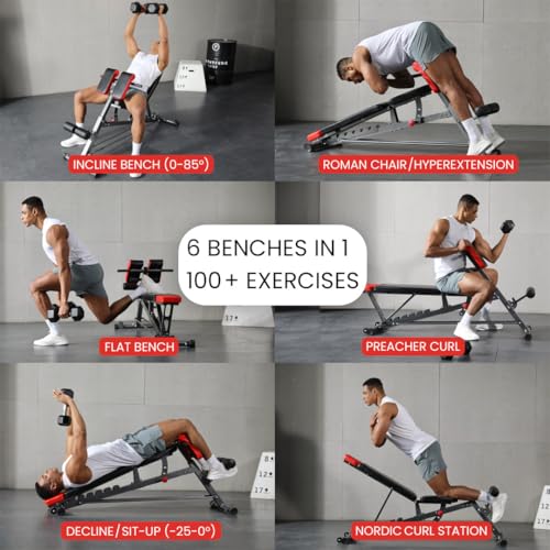 Adjustable FID Weight Bench & Roman Chair - 1,000 lb Capacity
