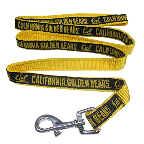 Small NCAA Dog Leash - California Golden Bears, Durable Nylon