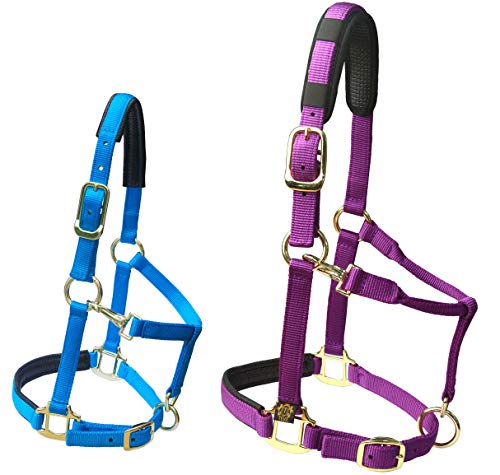 Adjustable Horse Halter - Heavy Duty Nylon with Padded Neoprene - Black, Full (L)