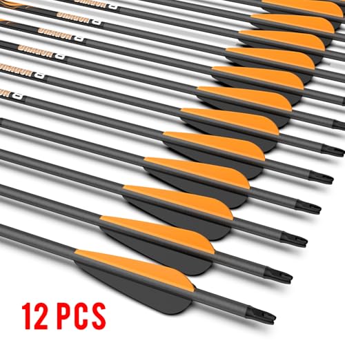 Olympic-Grade Pure Carbon Hunting Arrows - 12 Pack, 10 Spine