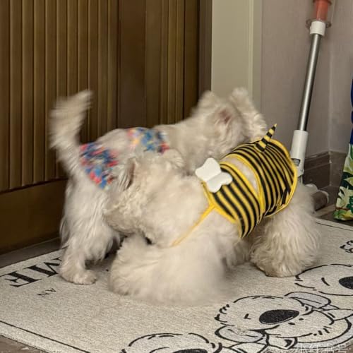 Funny Dog Swimsuit - Cooling Summer Bikini for Small Dogs - Yellow Bee, X-Small
