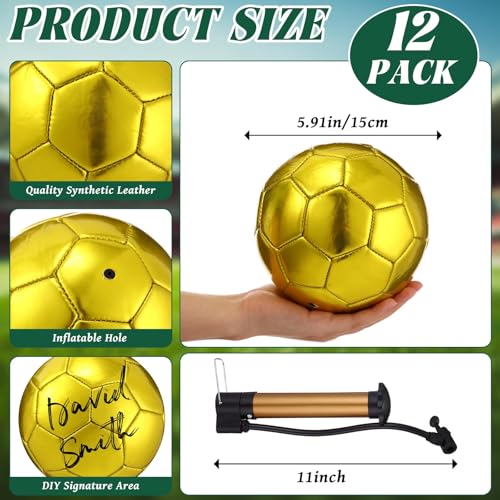 WinnerWhy Gold Size 2 Autograph Soccer Ball Set – 9 Mini Trophy Balls with Pump