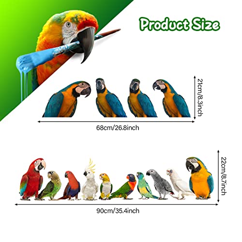 Removable 3D Exotic Pet Birds Wall Stickers, Parakeet Macaw Parrot Wall Decals, Peel and Stick Living Room Kids Bedroom Office Wall Decor